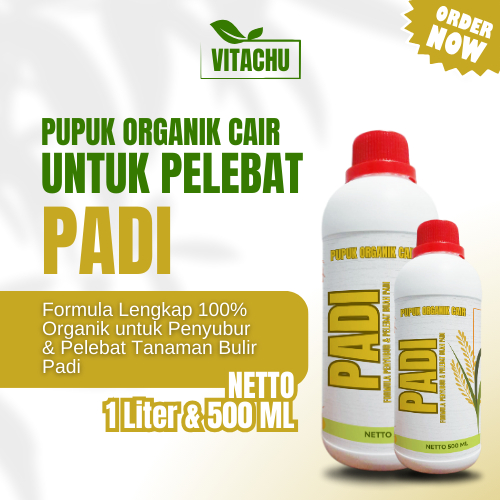 Pupuk Cair untuk Padi Pupuk Padi Sawah Terbaik Pupuk Pertumbuhan Tanaman Padi BoosterPerangsang Padi