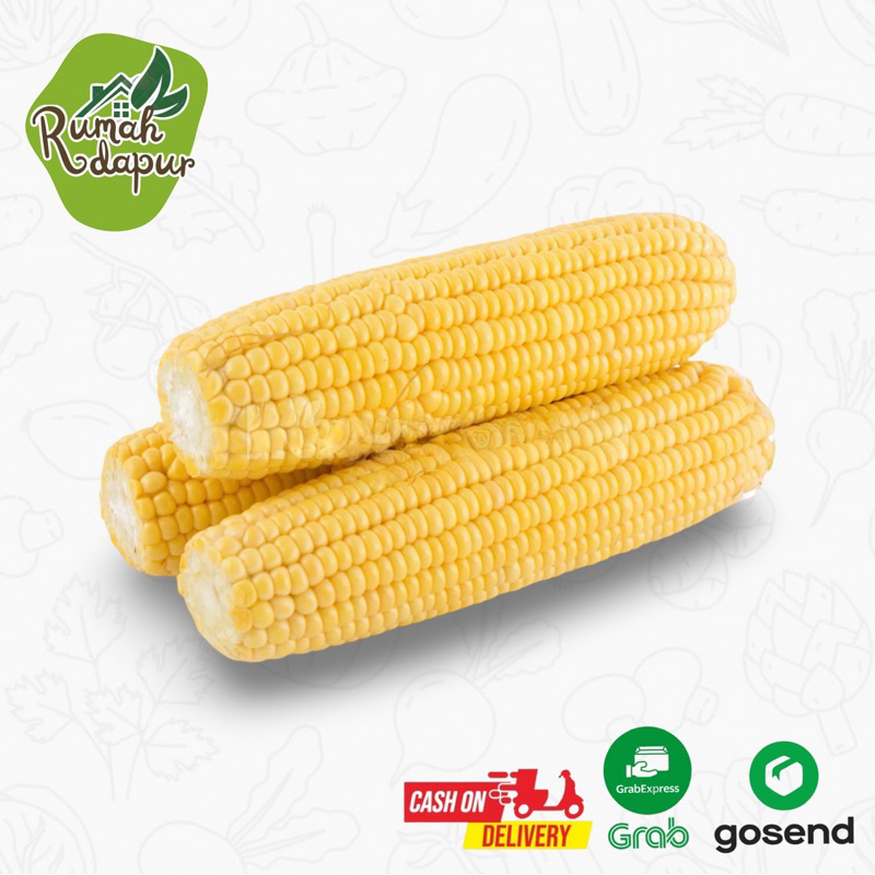 

JAGUNG MANIS KUPAS PEPACK ISI 3 BIJI