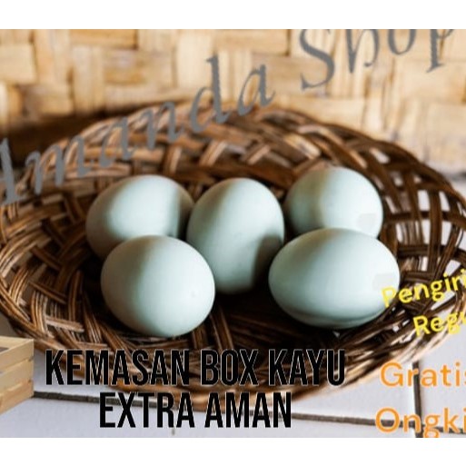 

TELUR bebek mentah Langsung dari kandang gratis kemasan extra aman