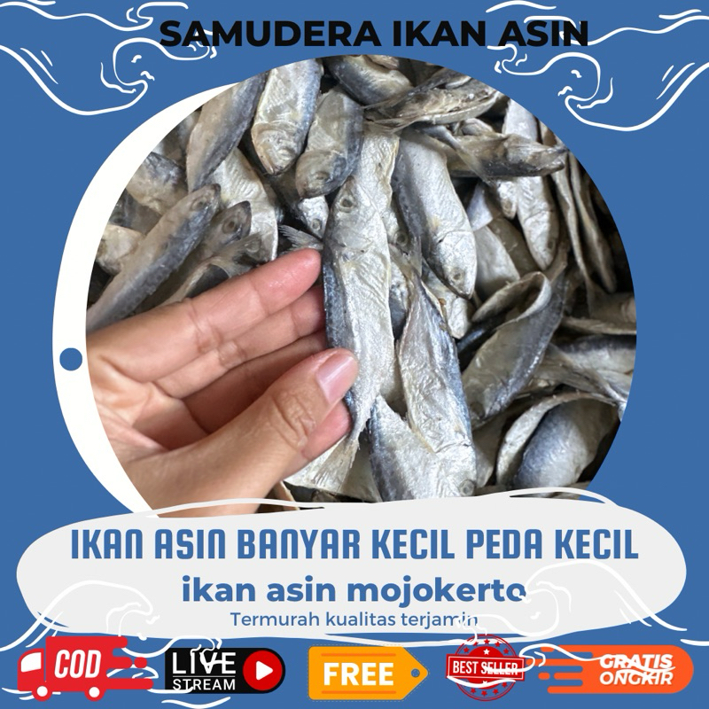

Ikan Asin PEDA MINI Banyar Kecil 250gr / Ikan Asin Kemarin Murah & Kualitas Terbaik