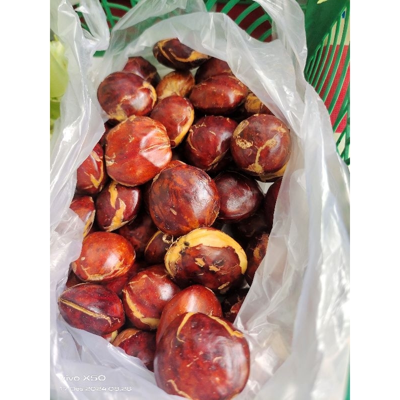 

Jengkol