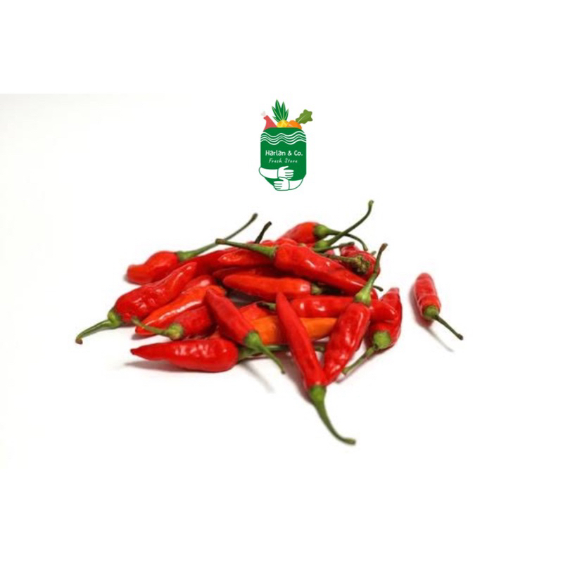 

cabai rawit segar 100gr (NAIK BANGEEEET)