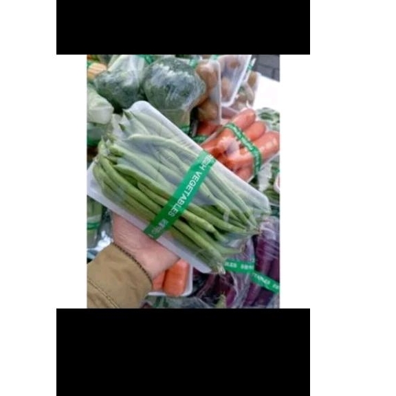

SAYURAN PACK 5000 PADANG