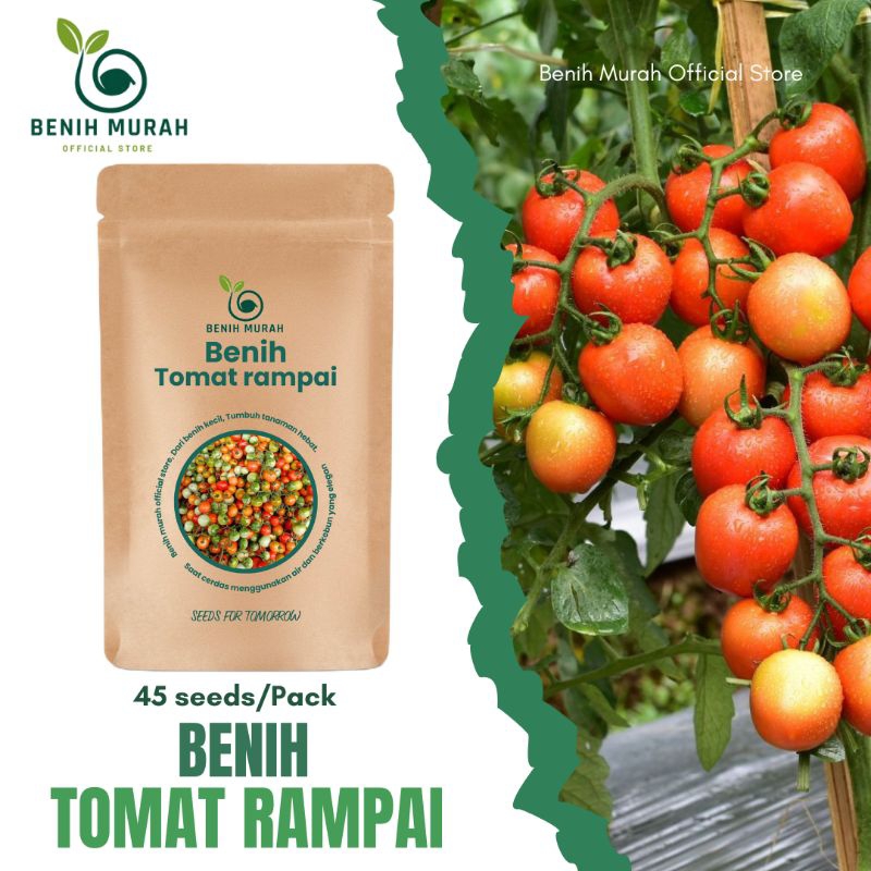 

Biji Bibit Tomat Rampai Jenis Tomat Ceri