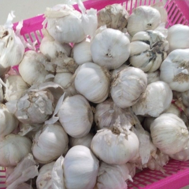 

Bawang putih1kg