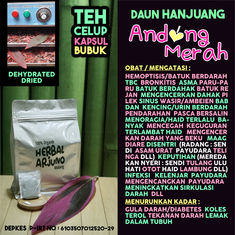 

Dehydrated Dried Teh Celup Kapsul Bubuk Daun Sabang Andong Hanjuang Merah Obat Asma TBC Paru-Paru Sinus Maag Pendarahan Nifas Haid BAB Kencing Manis Berdarah Keputihan Penguat Kandungan Mengencangkan Radang Infeksi Payudara Pengencer Darah Herbal Alami