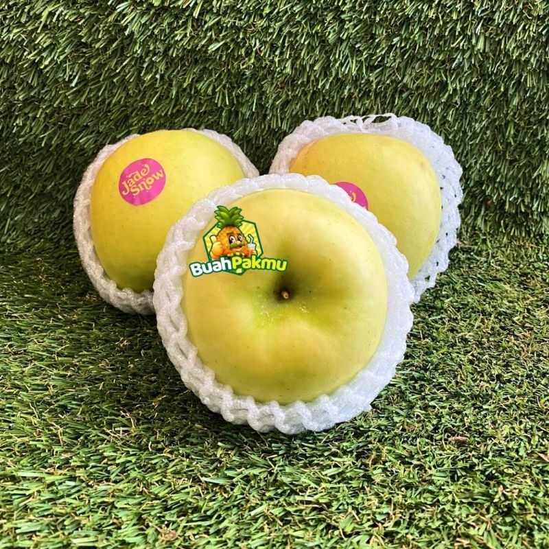 

Apel Hijau Jade Snow