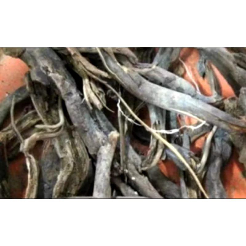 Akar Kelapa Kering Akar Pohon kelapa Kering 250 gram