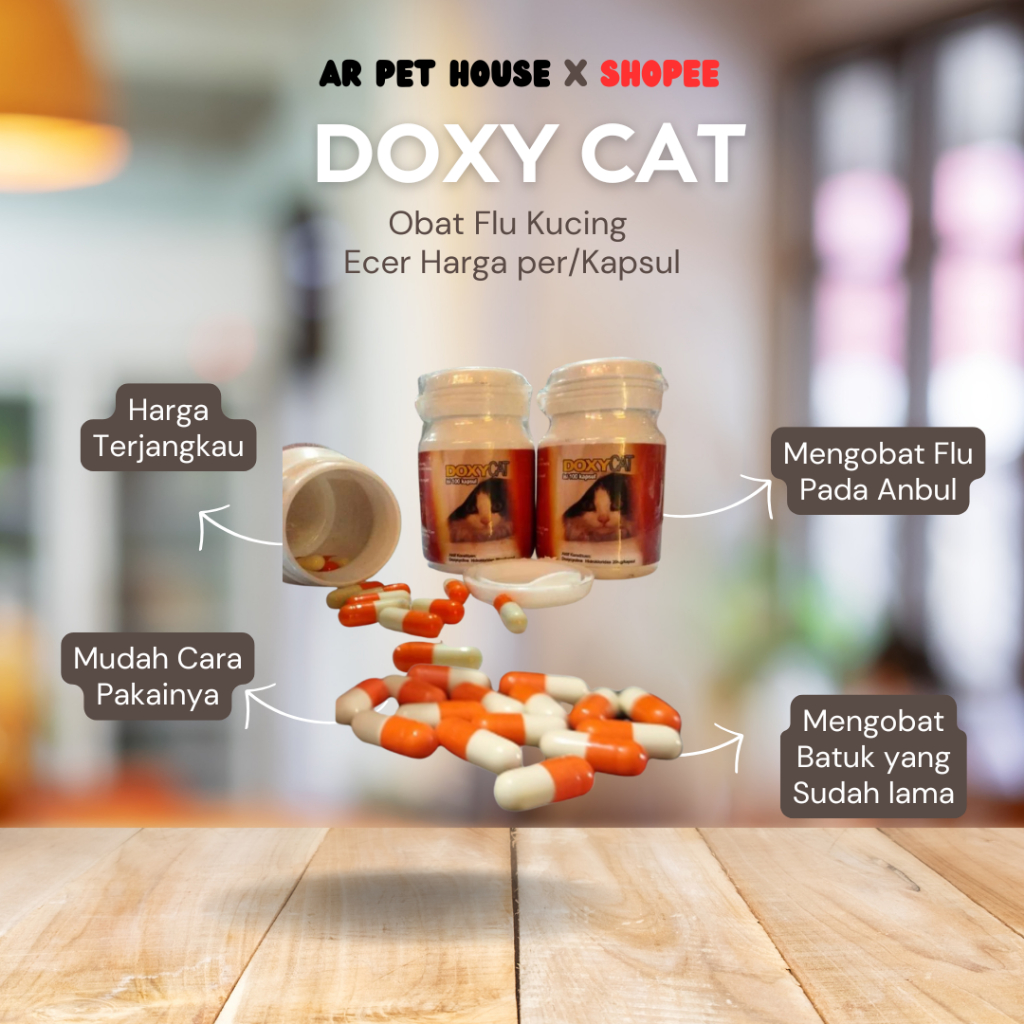 Obat Flu Kucing Doxy Cat 1 Kapsul Doxy Cat IM Organic DoxyCat