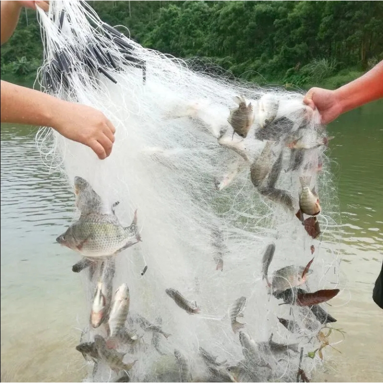 Jaring Pancing Jaring Lengket Jaring Tenggelam Tiga Lapis Jaring Apung