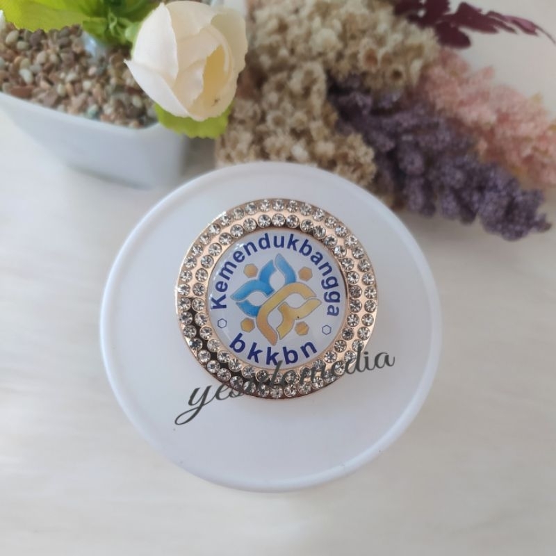 BROS PIN KEMENDUKBANGGA BKKBN IPeKB