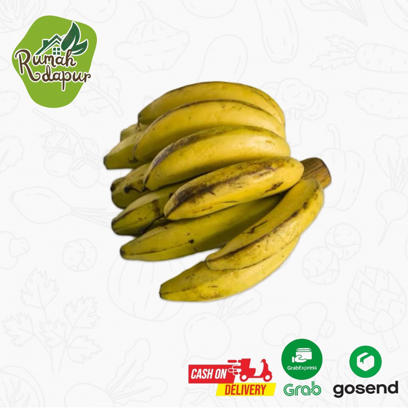 

PISANG TALAS PER SISIR