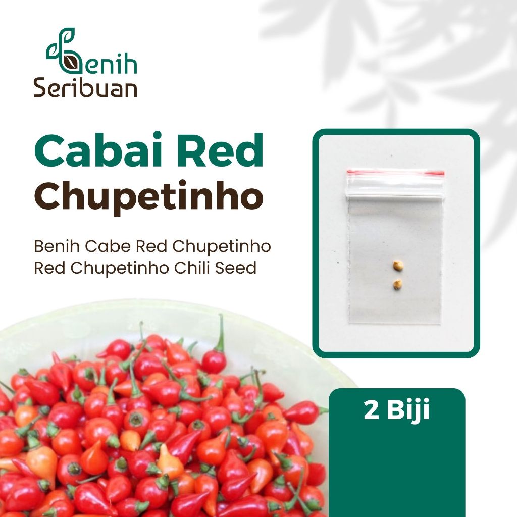 Benih Cabai Hias Red Chupetinho untuk Pertanian Rumahan - 2 Benih, Cabai Hias