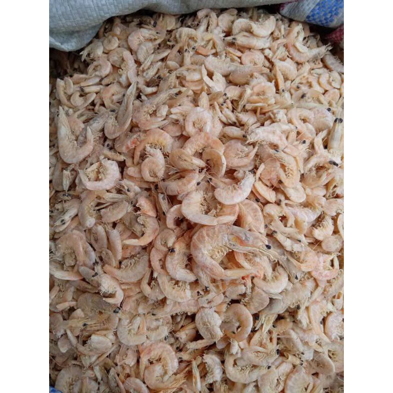 

UDANG MANIS - UDANG TAWAR