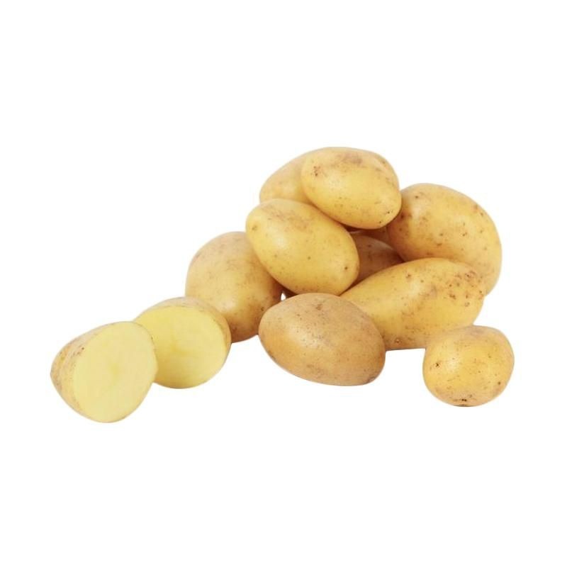 

kentang kecil baby potato 500g