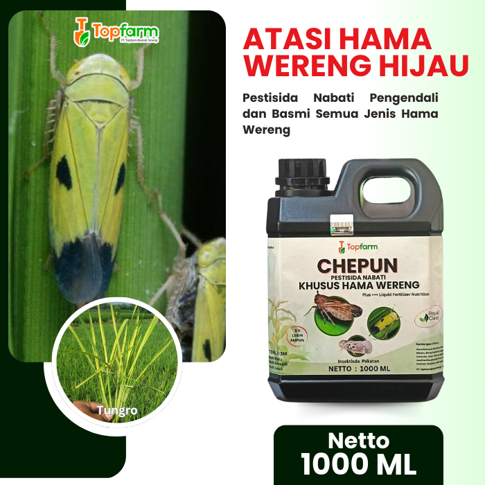 Insektisida Topfarm / Obat Hama Wereng Hitam / Obat Hama Wereng Padi Sawah / Racun Wereng Padi Palin