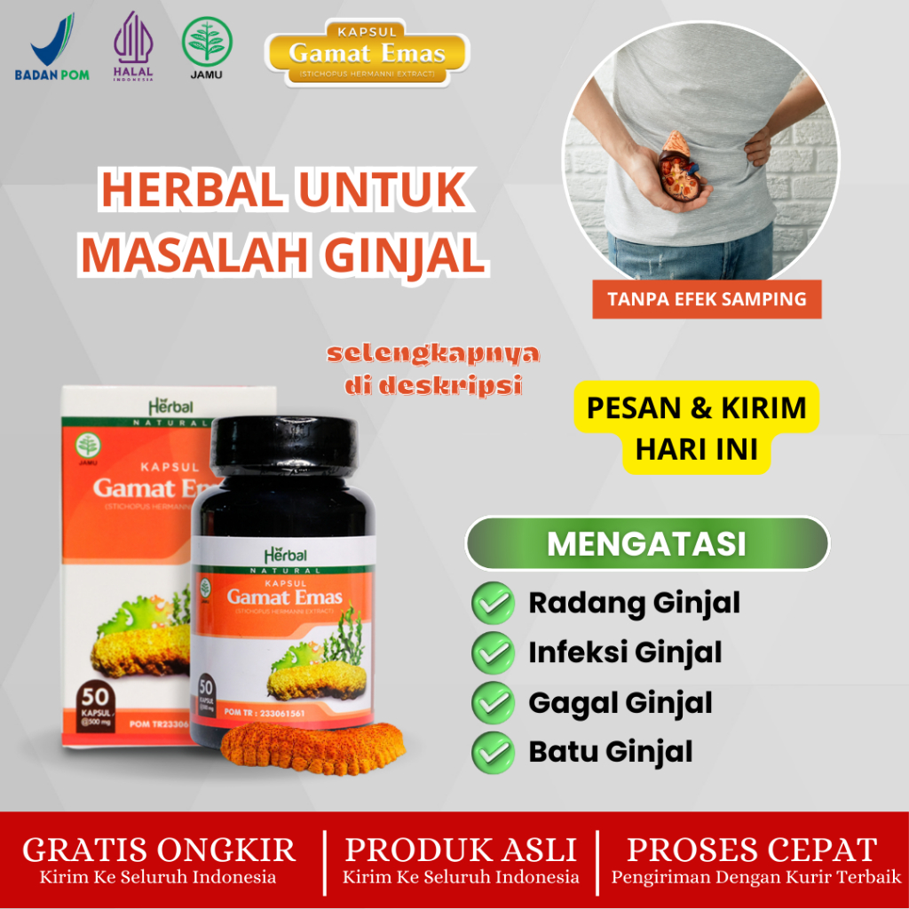 GAMAT EMAS: Solusi Alami Untuk Atasi Penyakit Ginjal, Batu Ginjal, Gagal Ginjal & Infeksi Ginjal