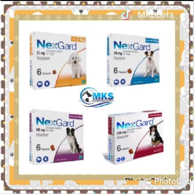 Nexgard Obat kutu kunyah anjing /Tablet