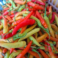 

Cabe Rawit Merah Biasa 500 Gram