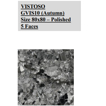 NIRO GRANITE VISTOSO POLISHED GVI10 AUTUMN 80X80