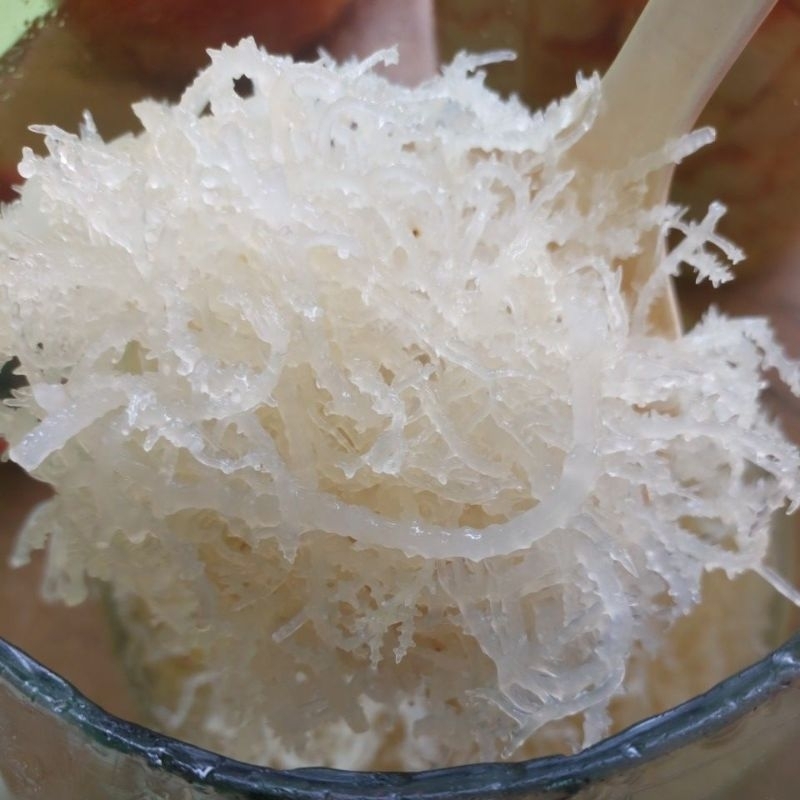 

manisan rumput laut (250gram)