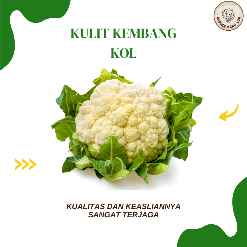 

DRIED SERBUK KULIT KEMBANG KOL