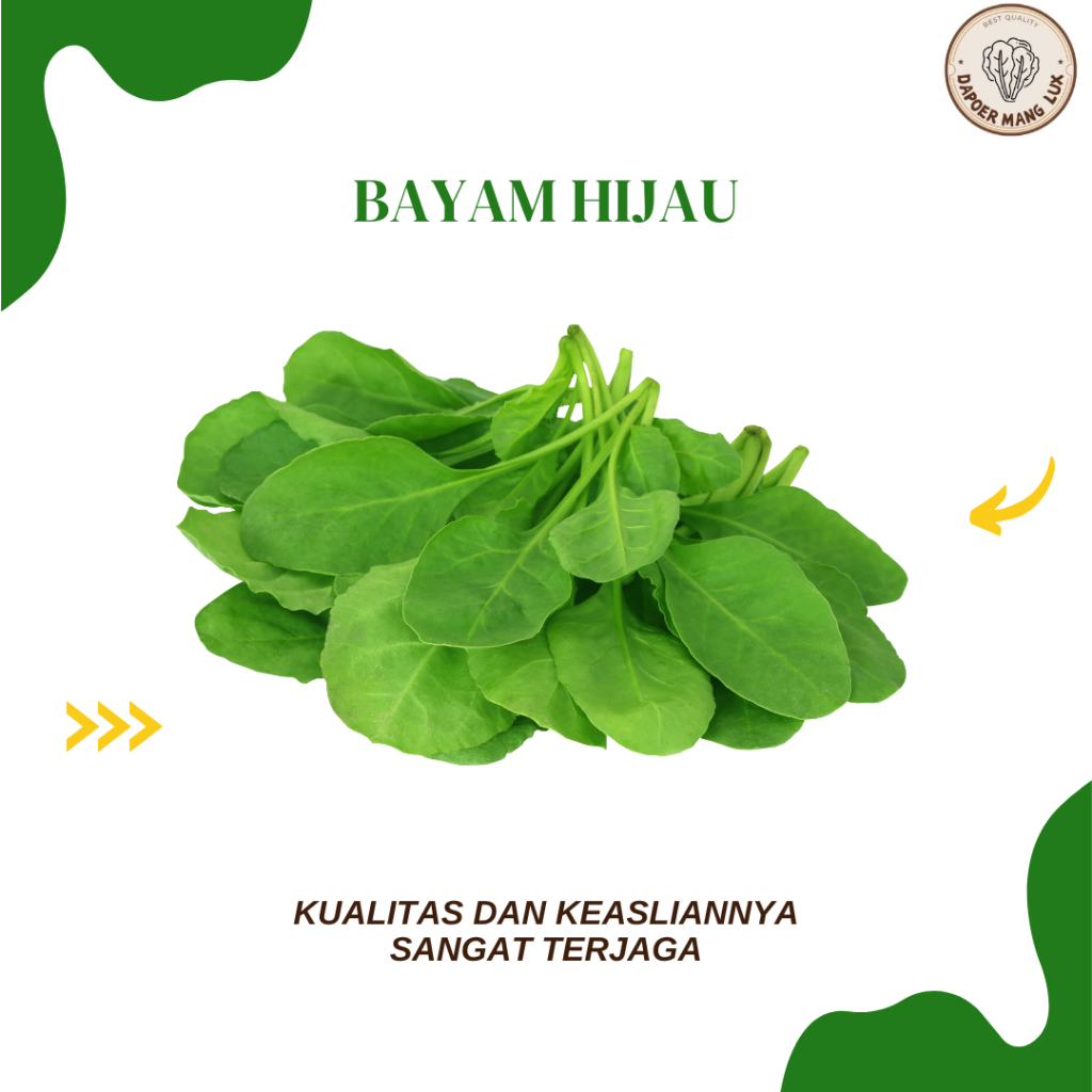 

DRIED SERBUK BAYAM HIJAU BEST SELLER