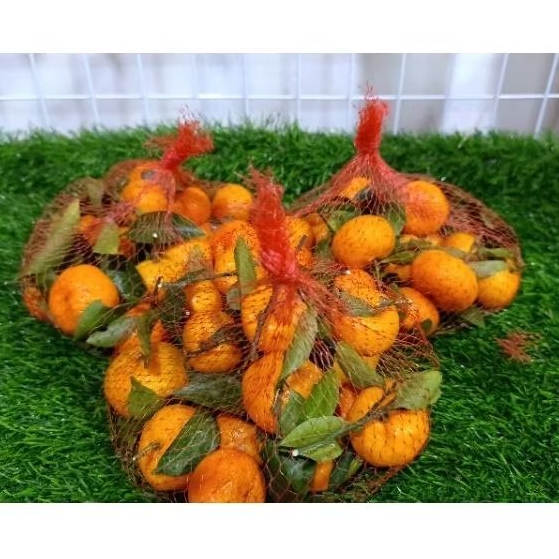 

Jeruk Santang Daun kantong 500gr