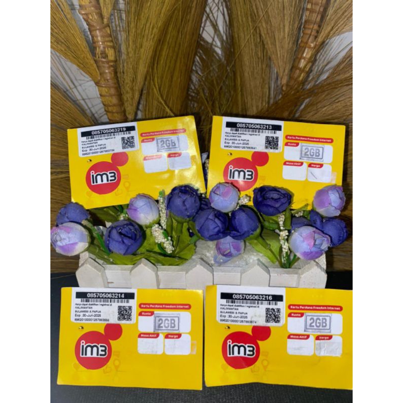 Kartu Perdana Kosong Indosat/IM3 Kalisumapa
