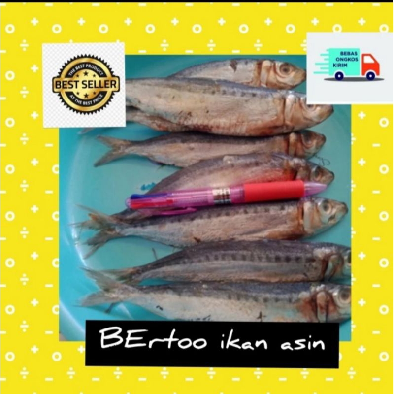 

ikan asin japuh Siro besar#ikan asin japuh lesi besar