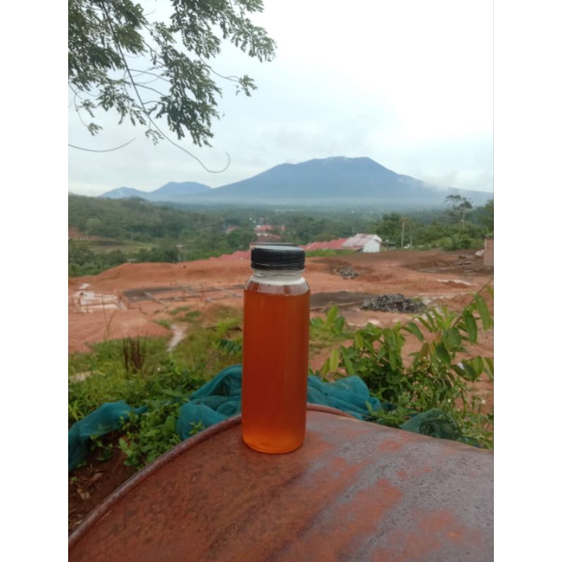 

MADU GULO-GULO