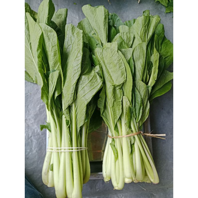 

sosin caisin 250gr mang sayur