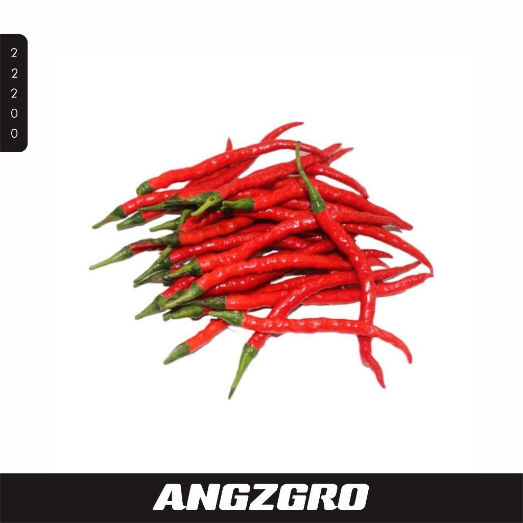 

Cabe Merah Keriting 100G/ Pack