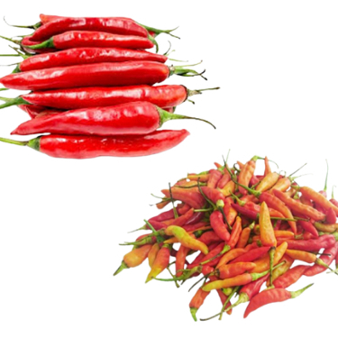 

cabai merah besar campur cabai rawit merah 250gr