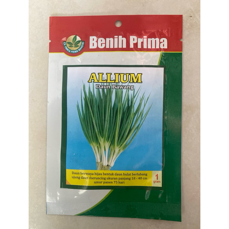 BIBIT BENIH DAUN BAWANG ALLIUM ISI 1 GRAM MERK BENIH PRIMA