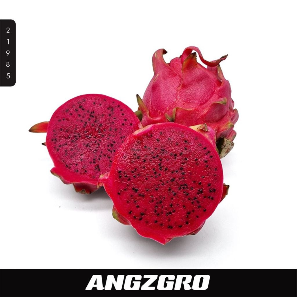 

Buah Naga Merah Grade A 600 GR