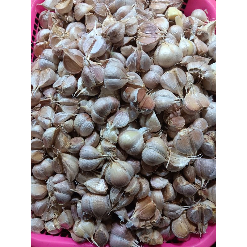 

bawang putih kating 250gr