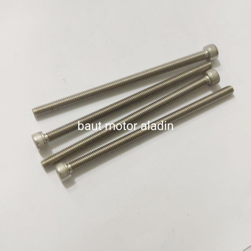 Baut 10/M6x110mm Stainless Kunci L5