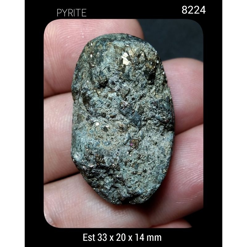 8224 Batu Pyrite Badar Emas