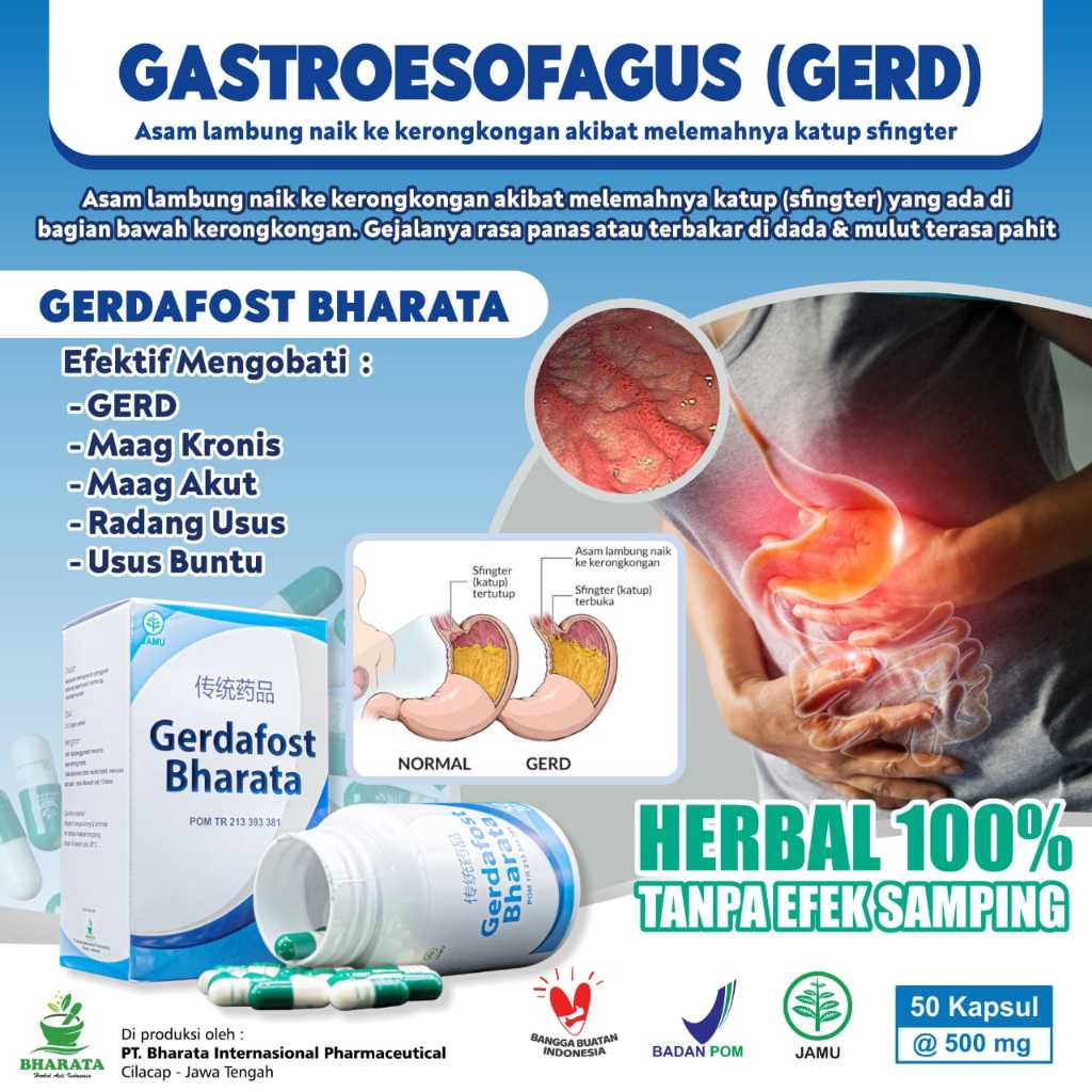 Gerdafost Bharata Obat Herbal Gerd Obat Asam Lambung Obat GERD Isi 50 Kapsul