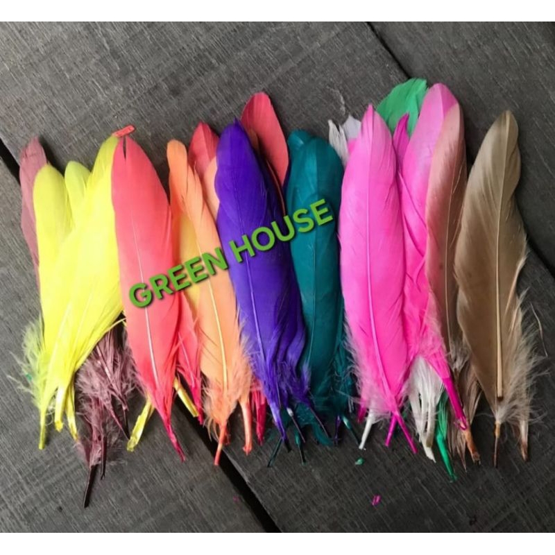 BULU ANGSA AYAM WARNA WARNI HALUS MURAH - BULU AYAM WARNA WARNI HALUS