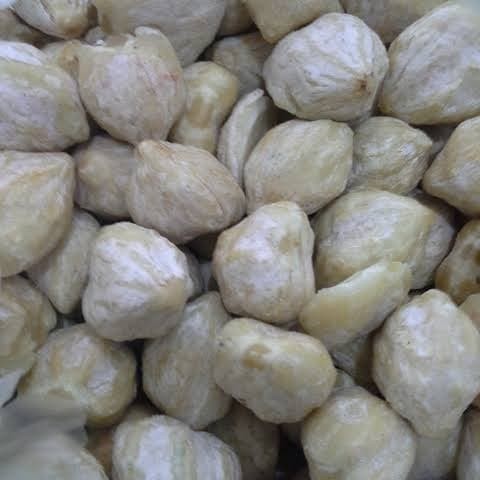 

Kemiri Muncang Bumbu Masak Rempah Asli