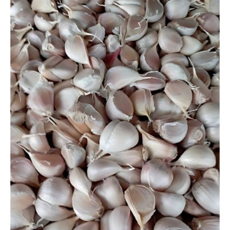 

Bawang Kathing