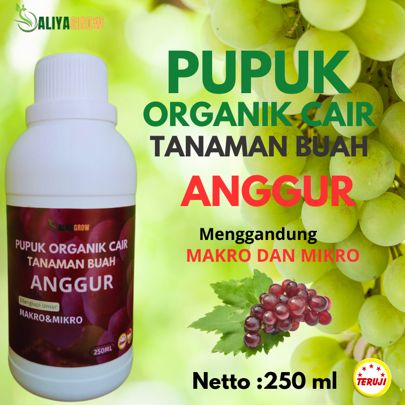 pupuk anggur masa pertumbuhan/pupuk anggur organik cair/pupuk anggur berbuah besar dan manis
