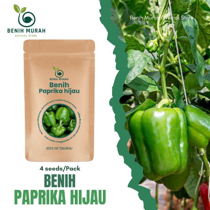 

Benih Paprika Hijau Bibit Sayuran Paprika Manis Atau Green Paprika