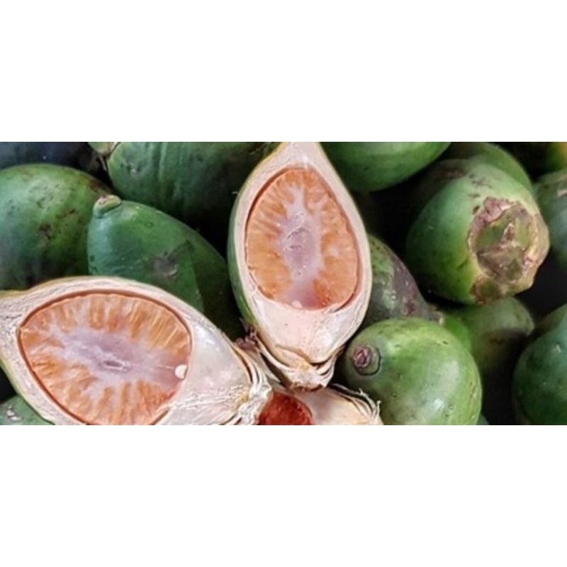 

buah pinang segar 500 gr