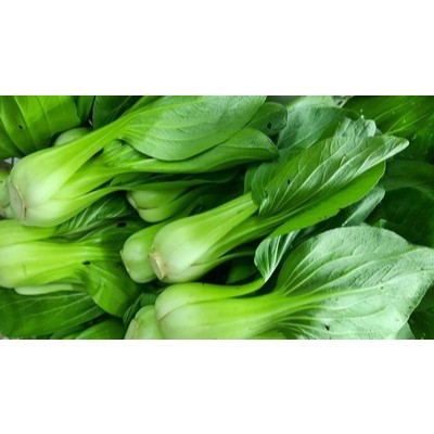 

Sayuran Pakcoy -+ 300Gr Fresh ( Kirim Instan )