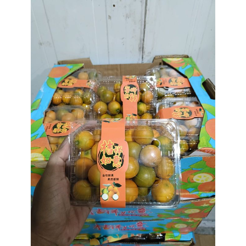 

Jeruk kimkit full manis bisa di makan sama kulitnya