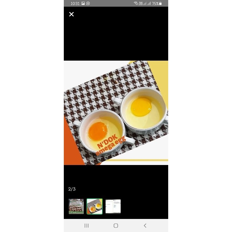 

HA telor omega 3 ( 1 paket isi 3 pack=30butir)