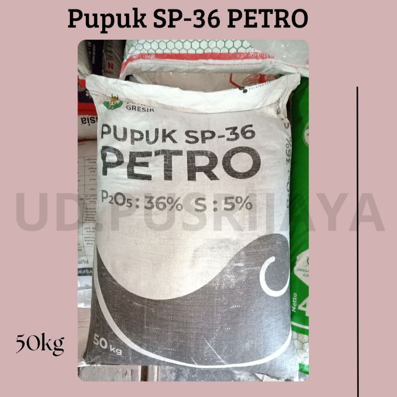 Pupuk SP-36 Petro 50kg